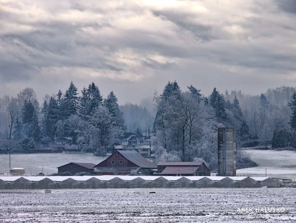 Snow covered farm