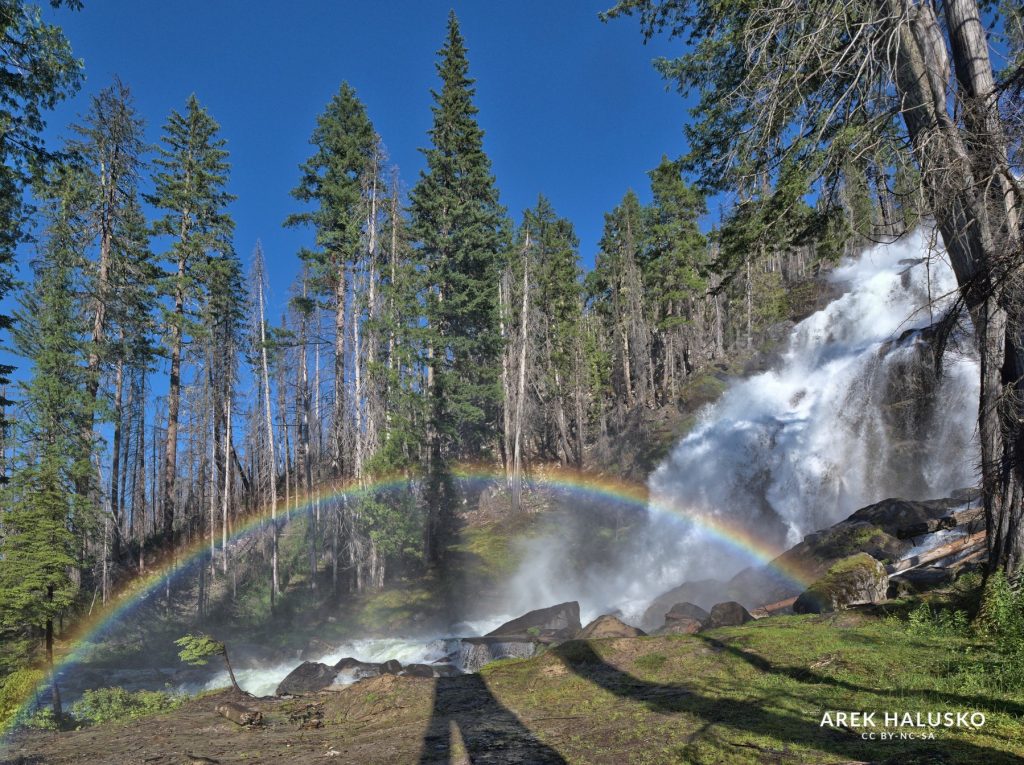 Grizzly Falls BC