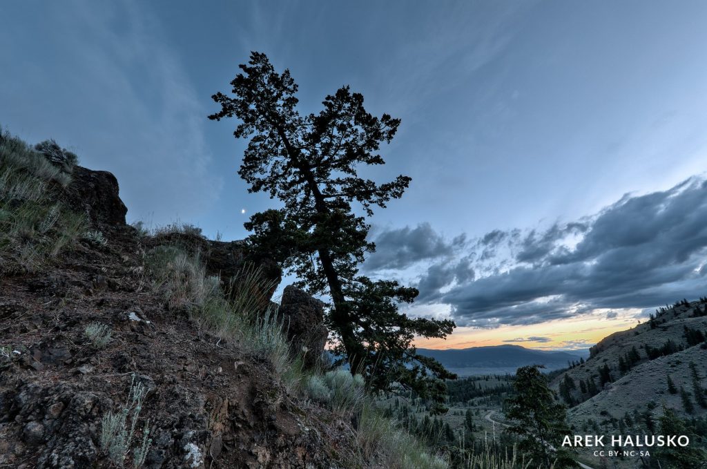 Kamloops BC Tranquille Slot Canyons parking hike sunset with dead tree in foreground