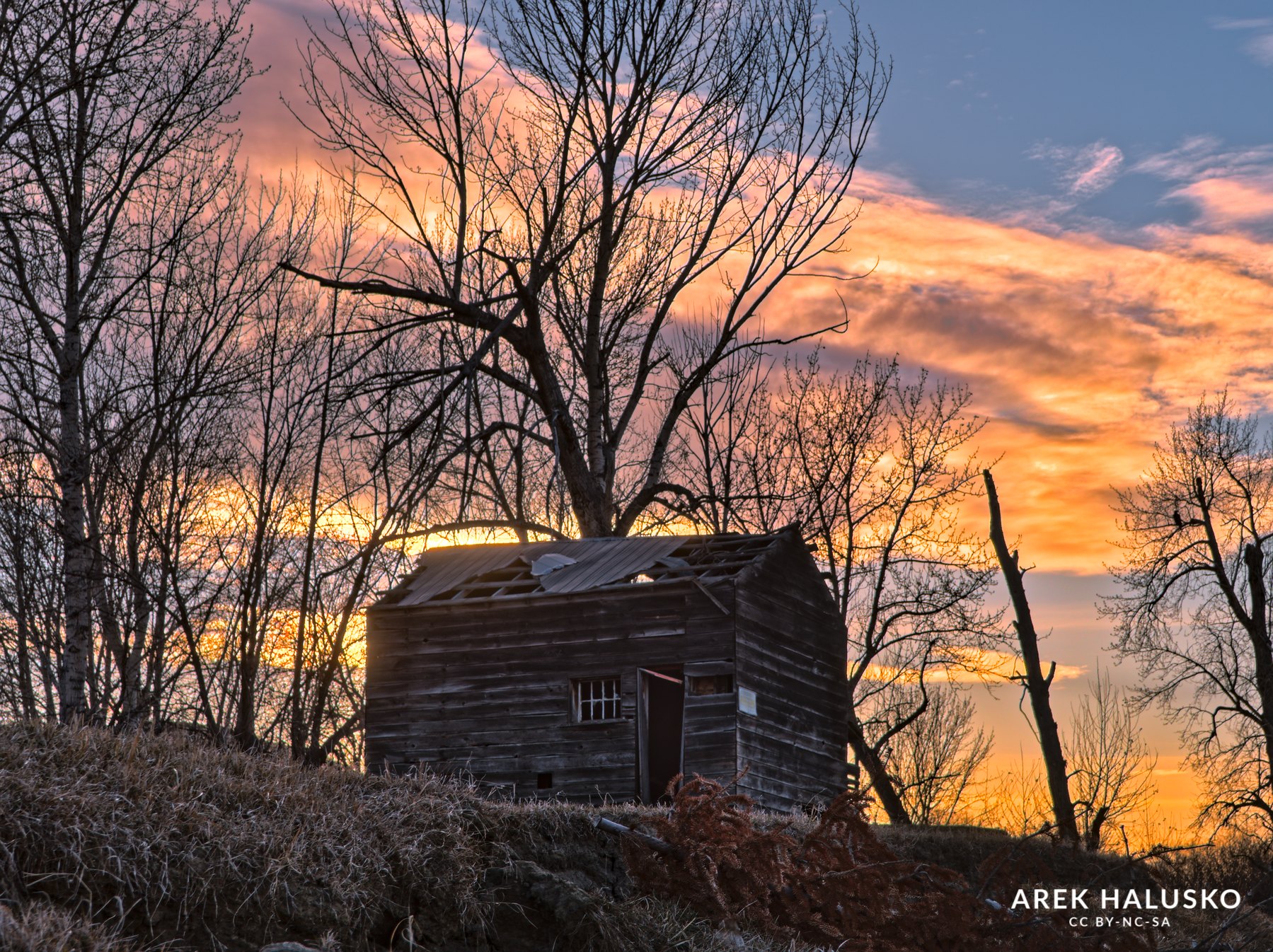 Kamloops BC abandoned farm building on Thompson River at sunset.